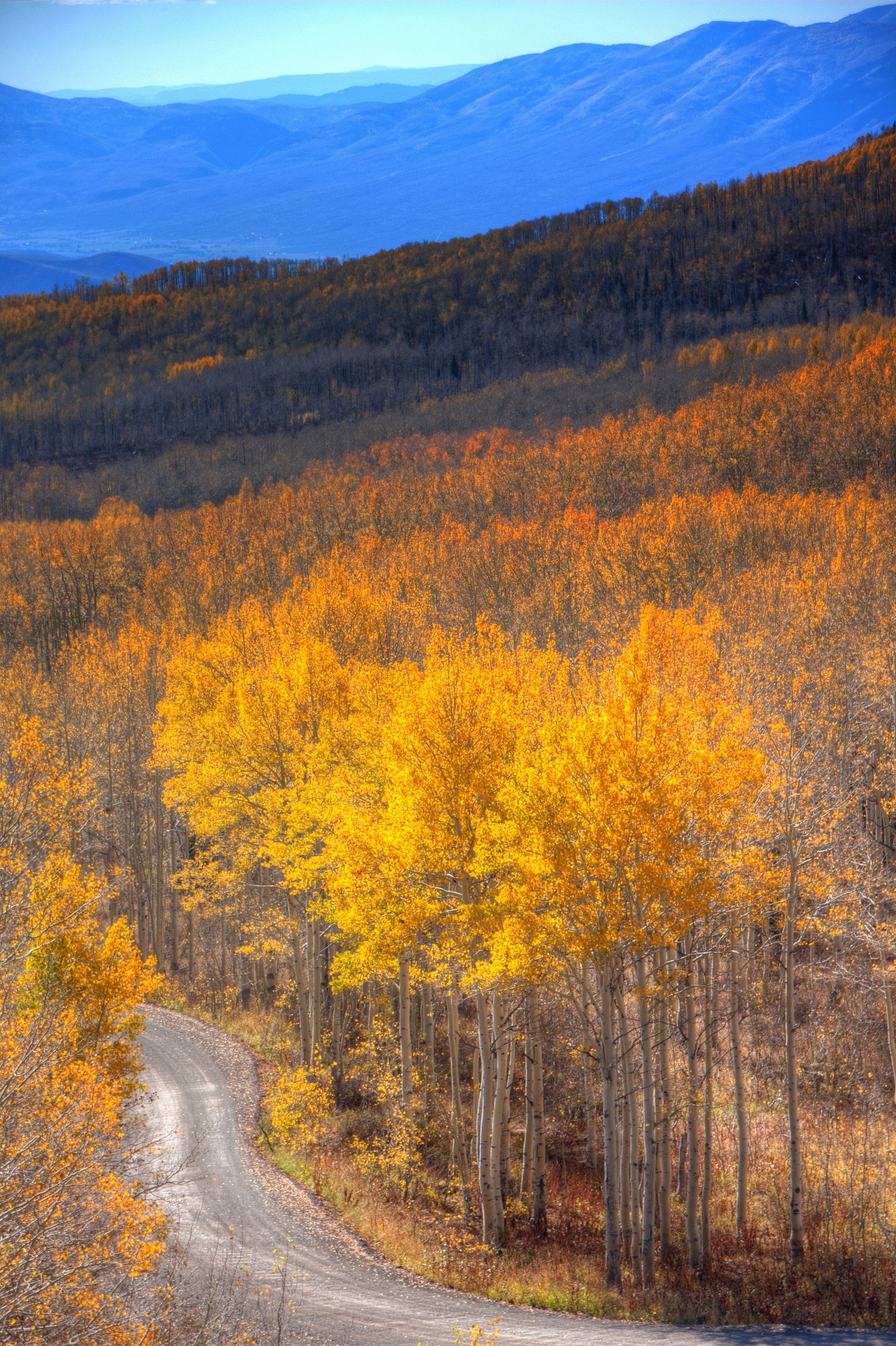 Guardsman Pass in the fall in Heber Valley.