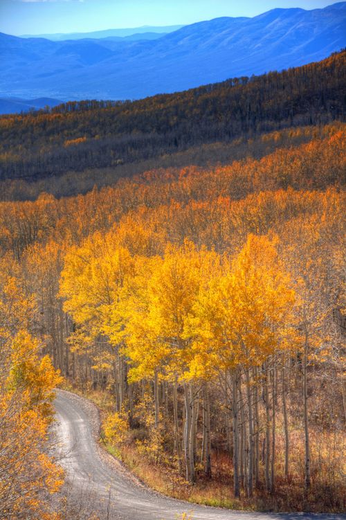 Guardsman Pass in the fall in Heber Valley, with trees turning yellow.