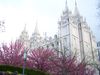 Salt Lake City Temple