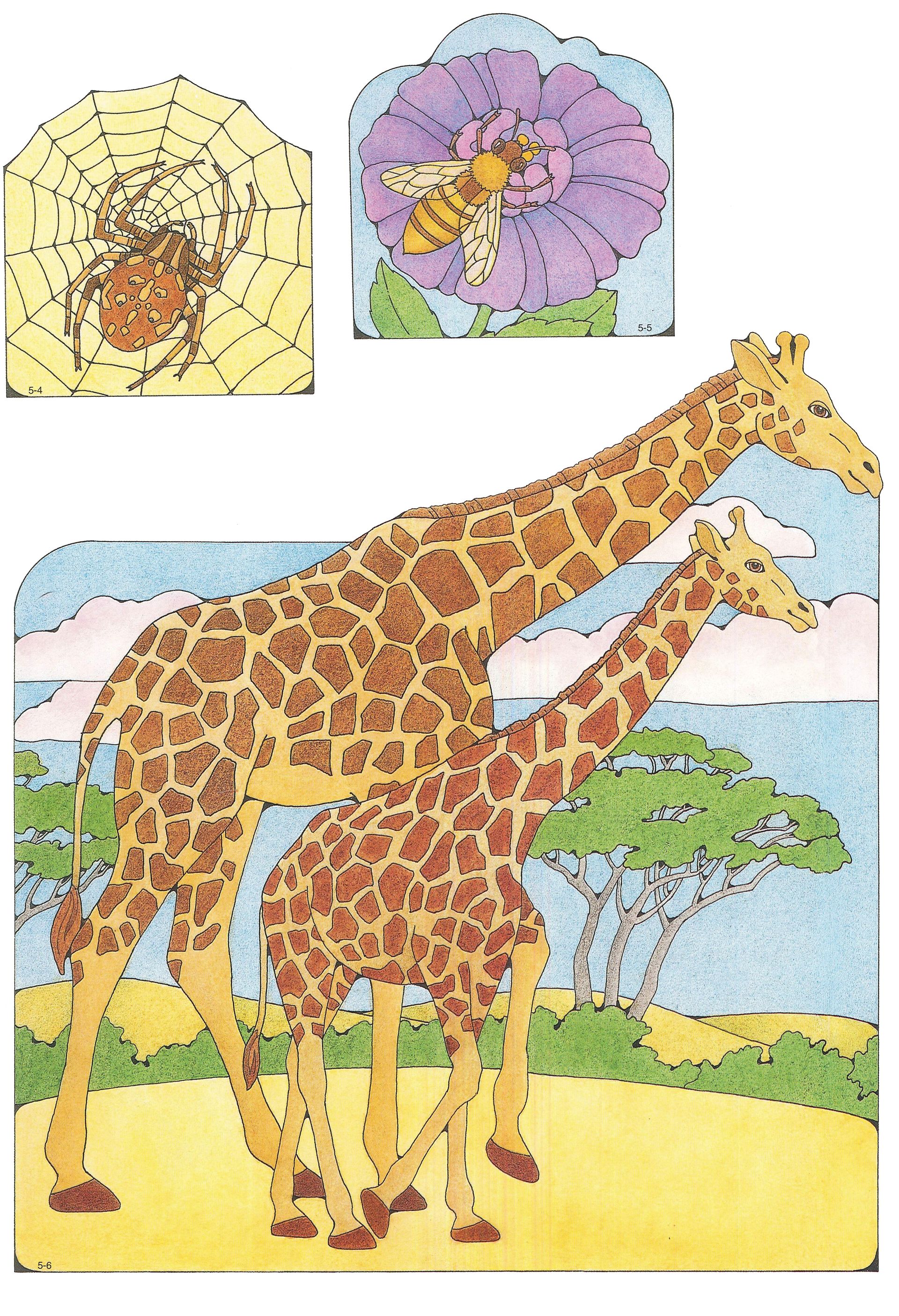 Primary Visual Aids: Cutouts 5-4, Spider; 5-5, Bee; 5-6, Mother and Baby Giraffe.