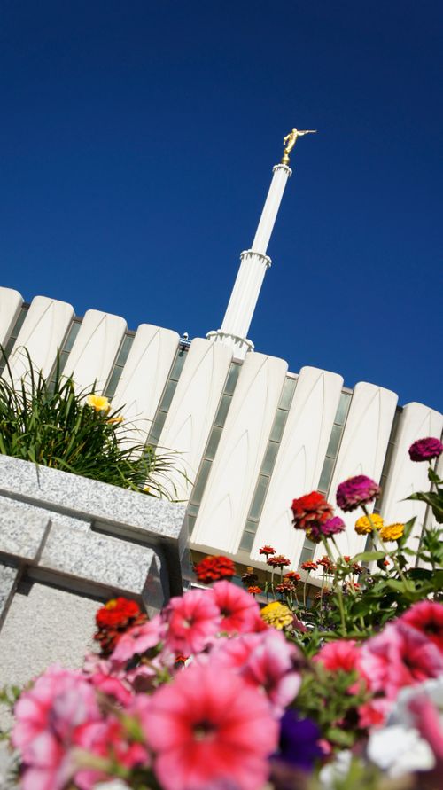 An image of the Provo Utah Temple on a clear, sunny day, taken at an angle, with colorful flowers in the foreground.