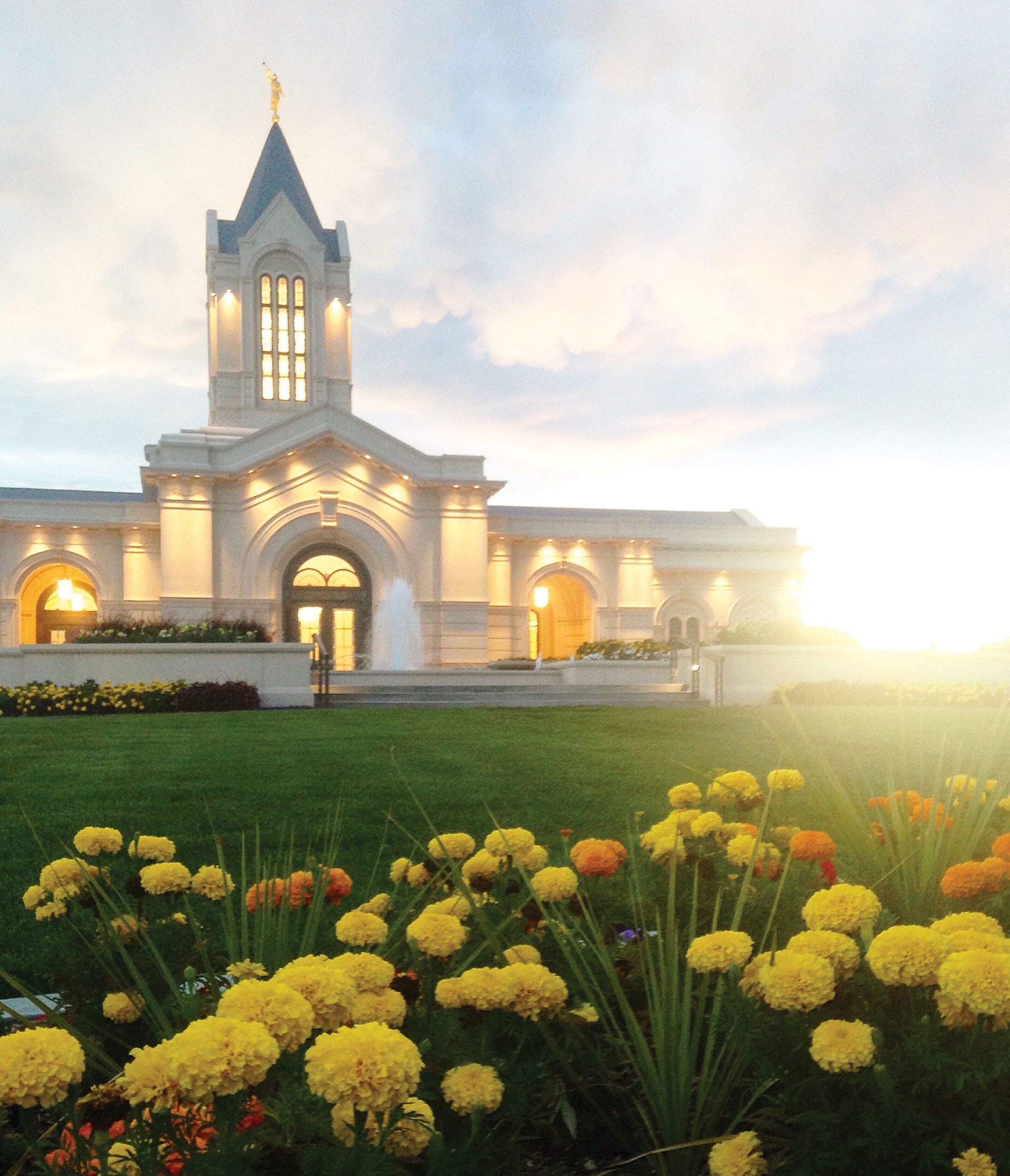 The Fort Collins Colorado Temple with yellow flowers in the foreground.