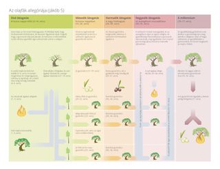 az olajfa allegóriájának az ábrája