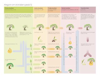 Översikt av allegorin om olivträdet