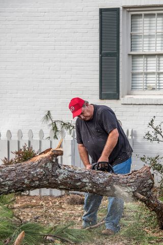 Man cutting tree with chainsaw. Members of the Albany, Georgia ward and Tifton, Georgia Stake, helping with service project to clean up after storm and tornados hit Albany, Georgia