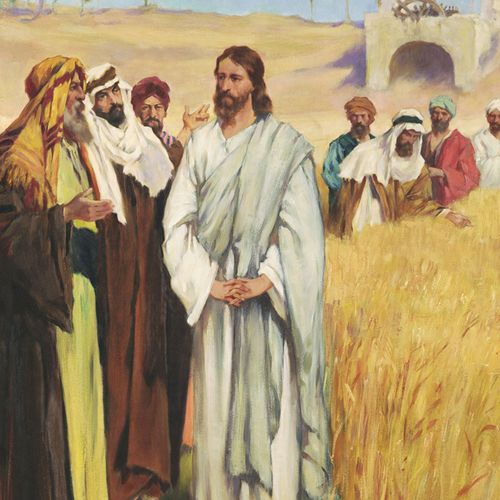 Isus i drugi u polju žita