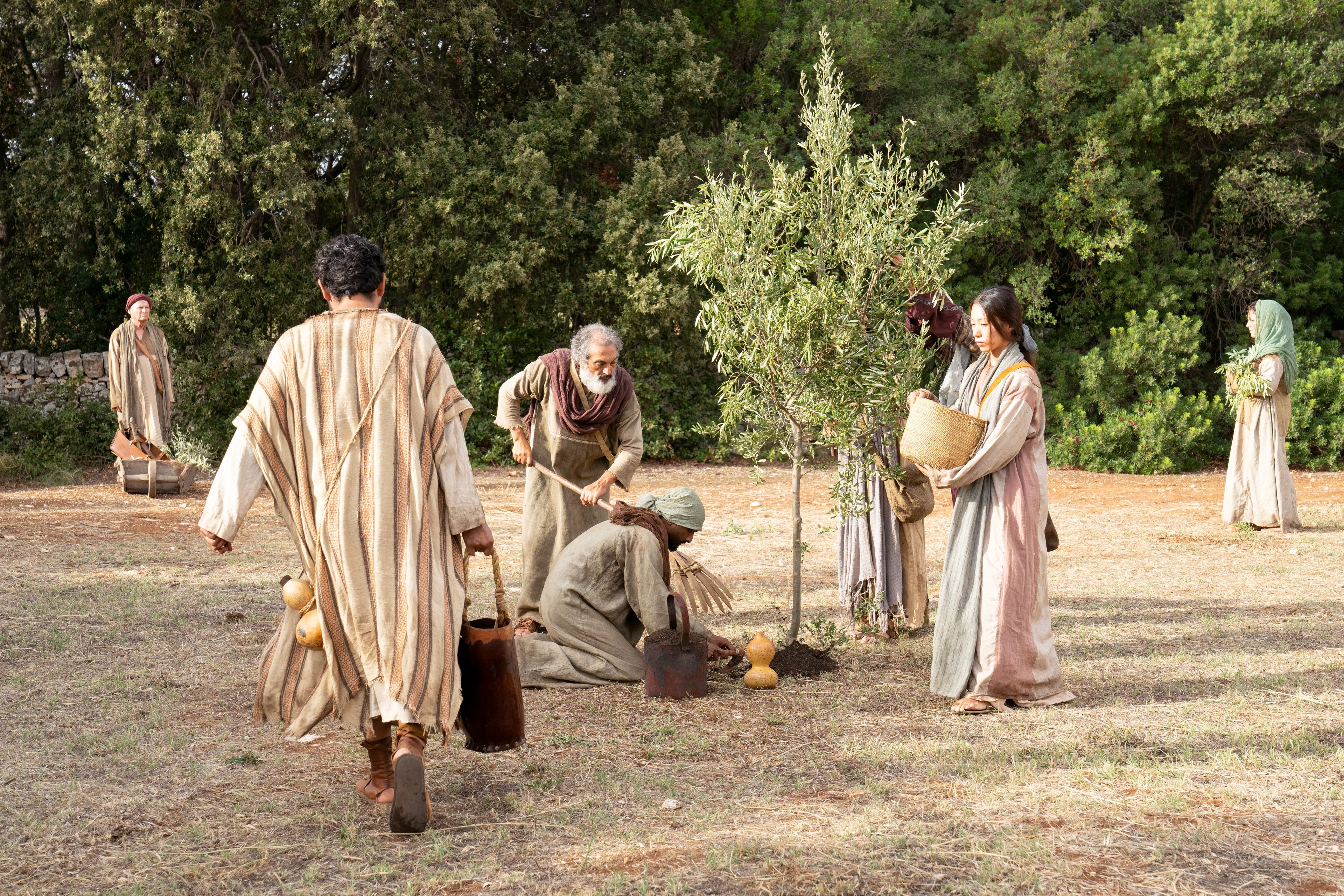 Servants labor in the vineyard with various tools. This is part of the olive tree allegory mentioned in Jacob 5.