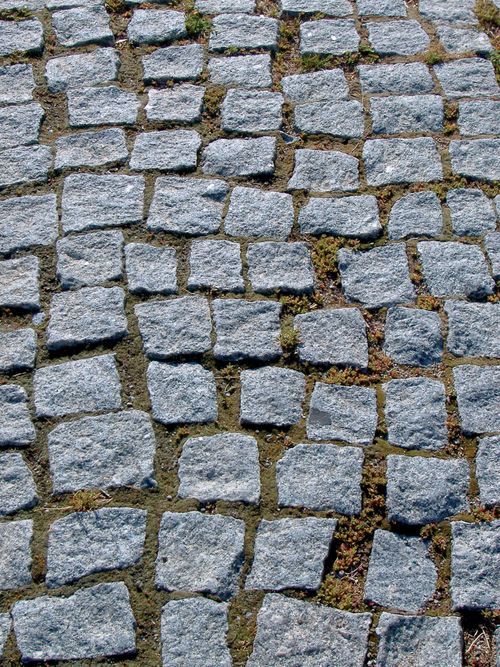 Rows of small, square gray stones arranged in a somewhat random pattern to form a straight path running up and down the image.