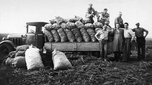 Niederländische Mitglieder bei einem Wagen, der mit Kartoffelsäcken beladen ist