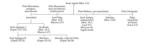 diagramă a familiei lui Irod