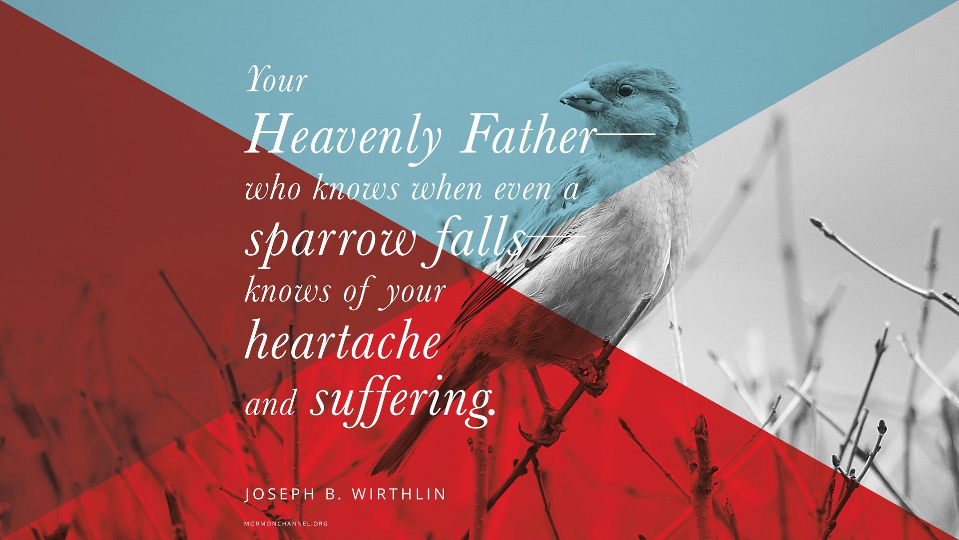 “Your Heavenly Father—who knows when even a sparrow falls—knows of your heartache and suffering.”—Elder Joseph B. Wirthlin, “Finding a Safe Harbor” © undefined ipCode 1.