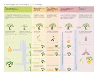 схематичне зображення з поясненням алегорії про оливкове дерево