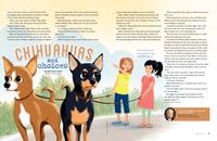 Chihuahuas and Choices