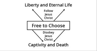 Free to Choose diagram