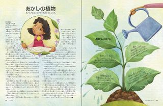 あかしの植物