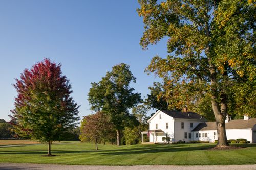 White clapboard house and annex sit in a grove of trees just beginning to turn colors.