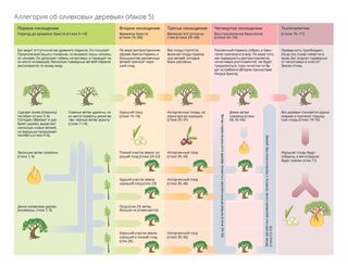 схема аллегории об оливковых деревьях