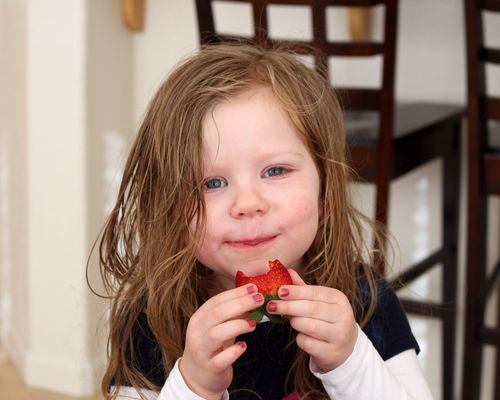 A little girl holds a strawberry in her hands and takes a bite out of it.