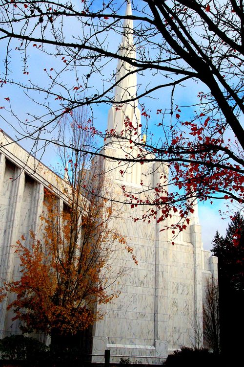 One of the spires on the Portland Oregon Temple in the fall, with fall leaves clinging to almost bare trees in the foreground.