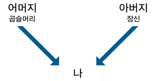 도식, 부모, 속성, 여러분