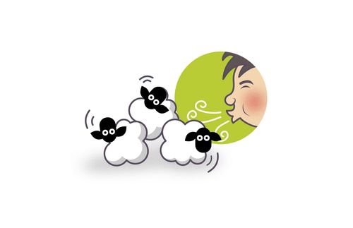 person blowing over sheep