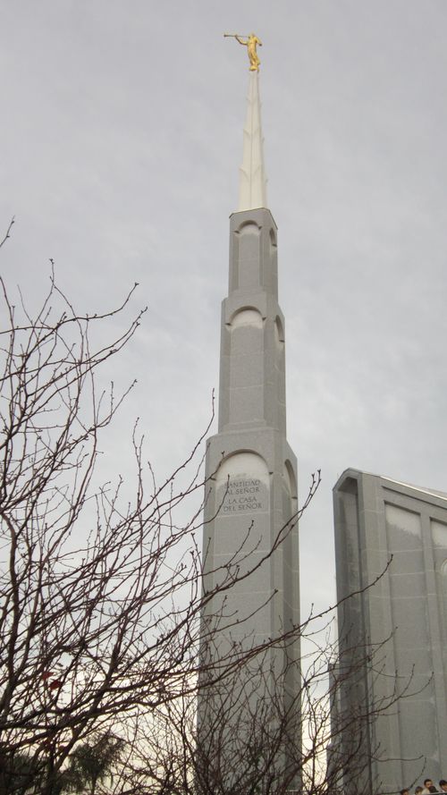 The spire with the angel Moroni on the Buenos Aires Argentina Temple, with a bare winter tree in the foreground.