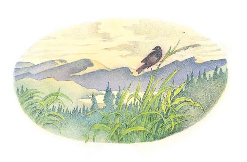 A watercolor illustration of a black bird standing on a tall blade of grass in front of a mountain range.