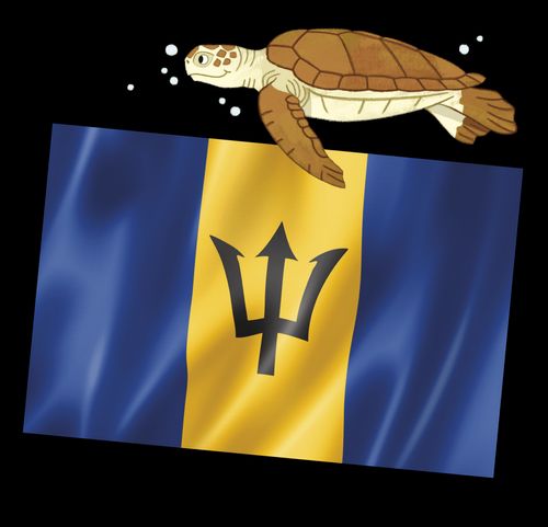 Photo of a blue and gold flag with a trident i the middle and illustration of a sea turtle