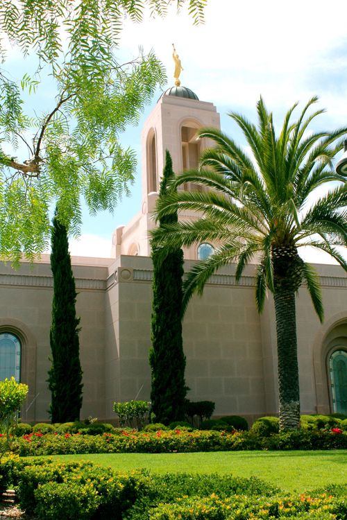 Part of a wall and the spire on the Newport Beach California Temple, with a palm tree and other trees growing near the walls.