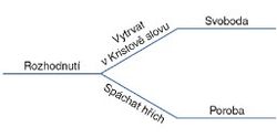 schéma, rozhodnutí a následky