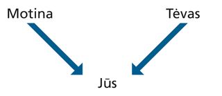 kilmės diagrama