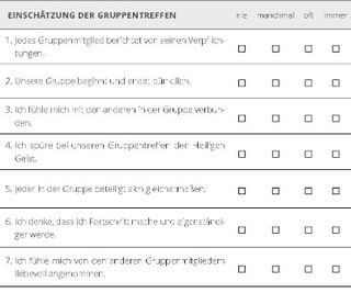 Einschätzung der Gruppentreffen