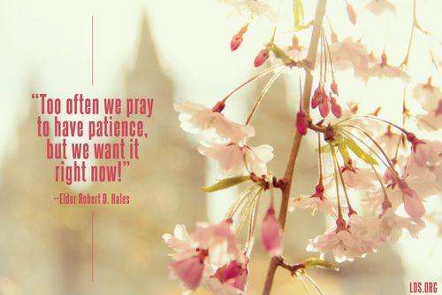 An image of pink blossoms coupled with a quote by Elder Robert D. Hales: “Too often we pray to have patience, but we want it right now!”