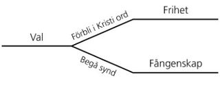 Diagram, val och konsekvenser