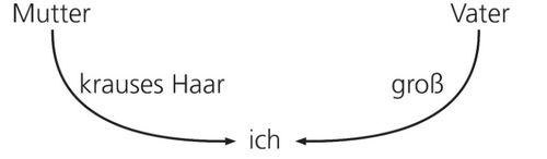 diagram, inherited traits