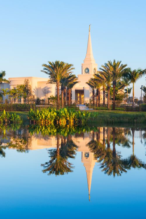 A side view of the Fort Lauderdale Florida Temple being seen through rows of palm trees and reflected in a pool of water on the temple grounds.