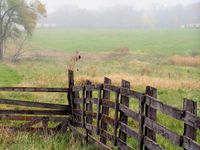 fence and field in Clay County, Missouri