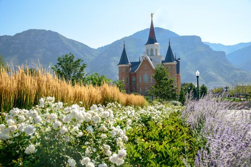 Flowers, brush, and other vegetation around the Provo City Center Temple, with mountains in the background.
