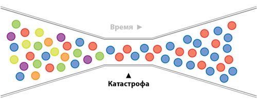 иллюстрация эффекта бутылочного горлышка