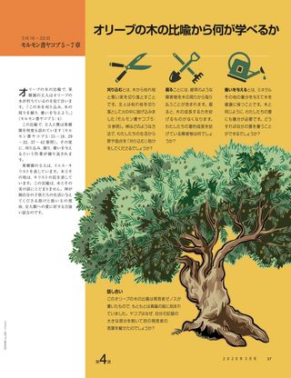 オリーブの木の比喩から何が学べるか