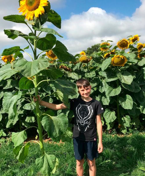 Zac Jenkins smiles as he stands next to a very tall sunflower.