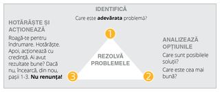 diagrama rezolvării problemelor