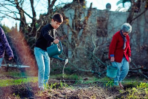 boy helping at farm