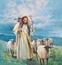 shepherd with sheep