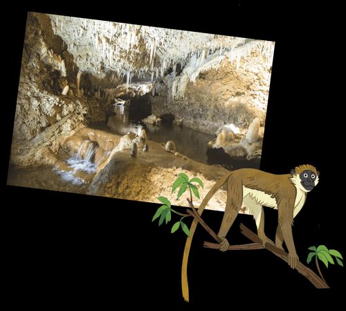 Photo of cave with rock formations and illustration of a monkey on a branch