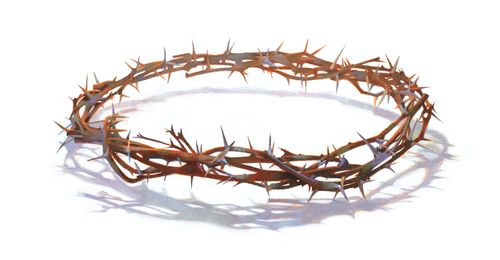 A crown of thorns.