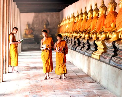 Buddhist monks in orange robes