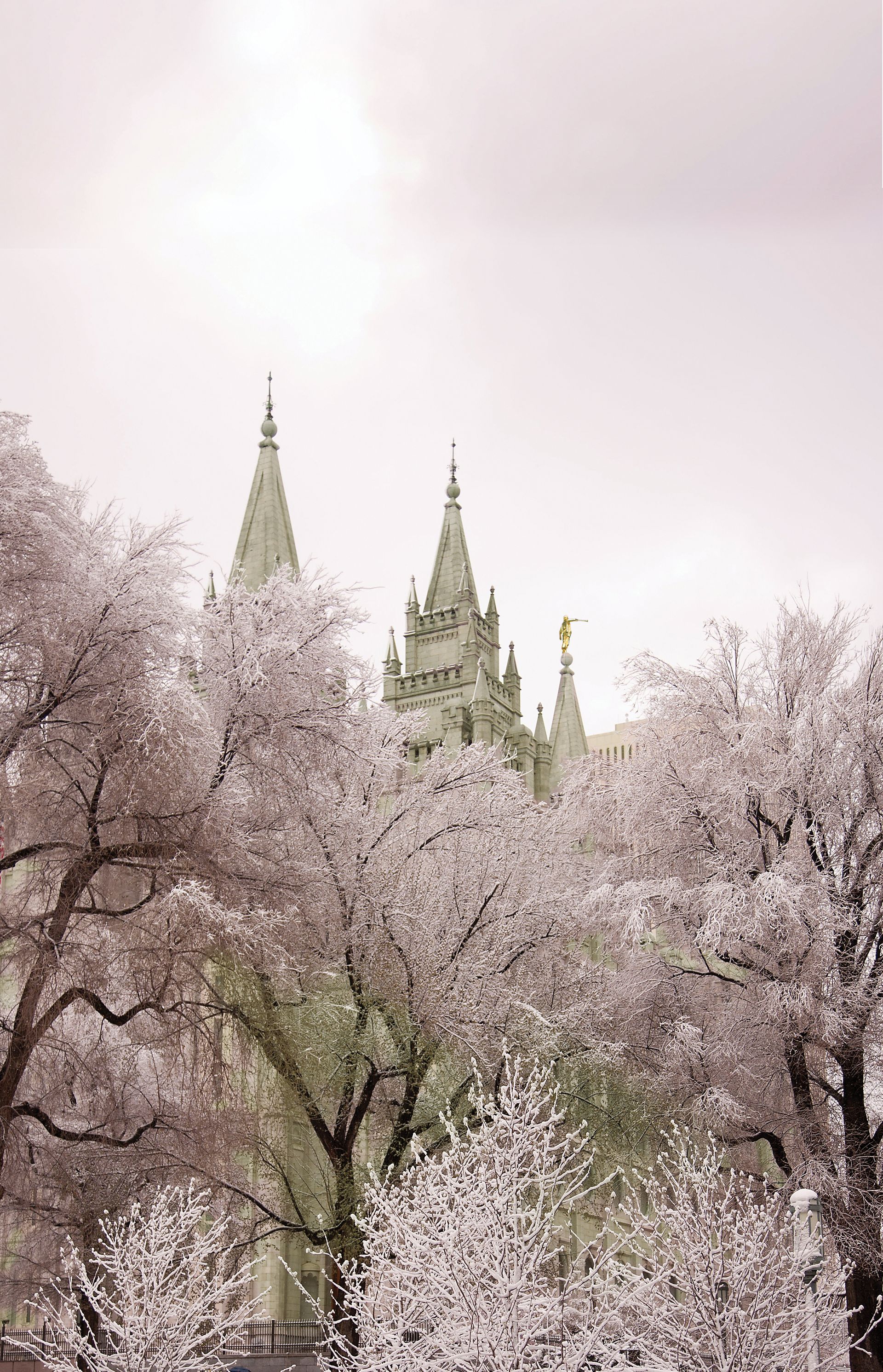 The Salt Lake Temple during winter, including the spires and scenery.
