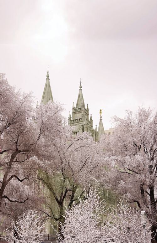 The spires of the Salt Lake Temple rising above the trees, all covered in snow in the winter.