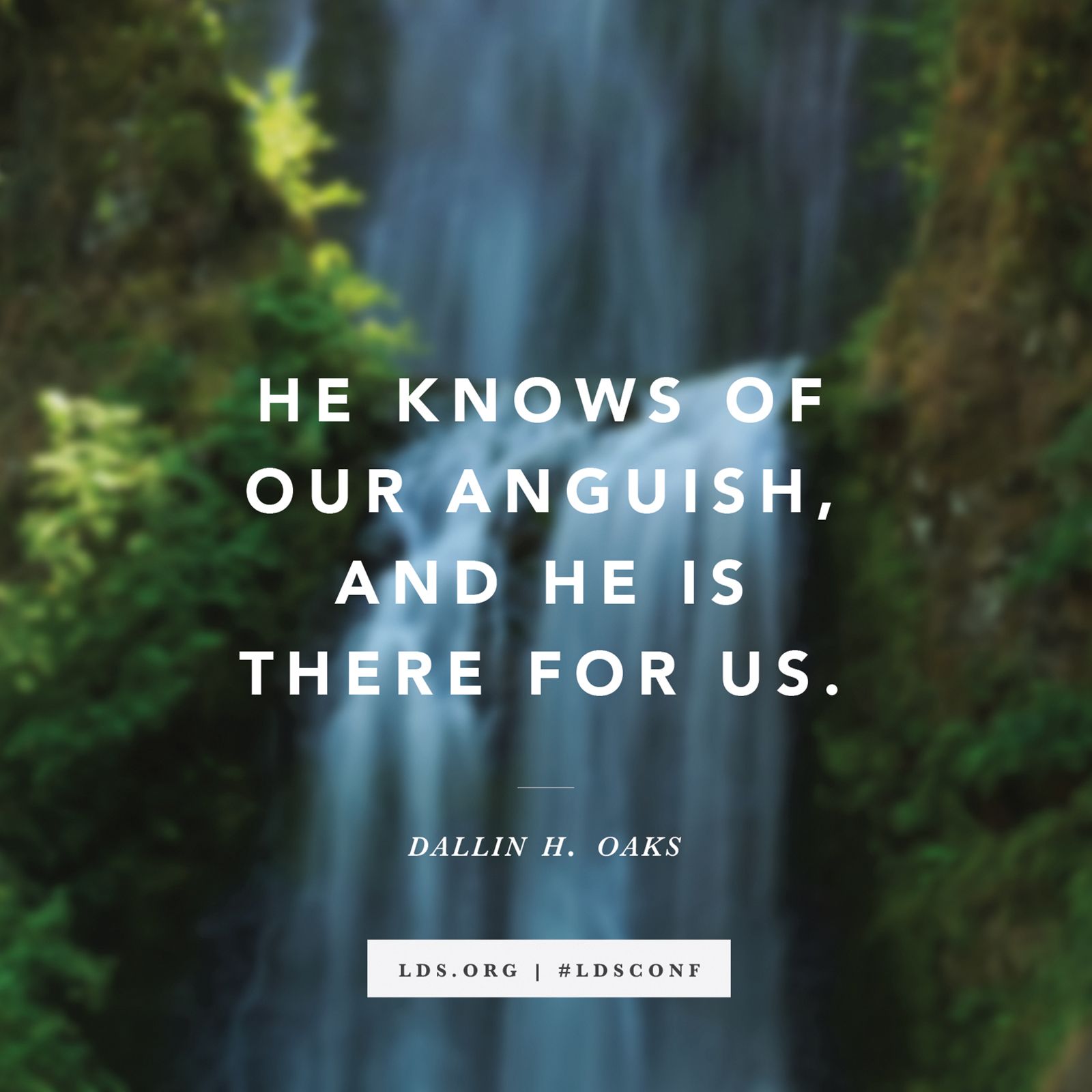 “He knows of our anguish, and He is there for us.” —Elder Dallin H. Oaks, “Strengthened by the Atonement of Jesus Christ”
